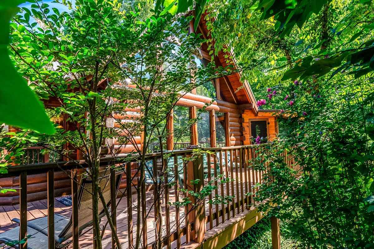 A tranquil log cabin featuring a spacious deck area that looks out over verdant surroundings. The scene suggests activities like morning coffee on the deck, evening stargazing, and wildlife watching—all directly tied to the outdoor experiences described in the section.